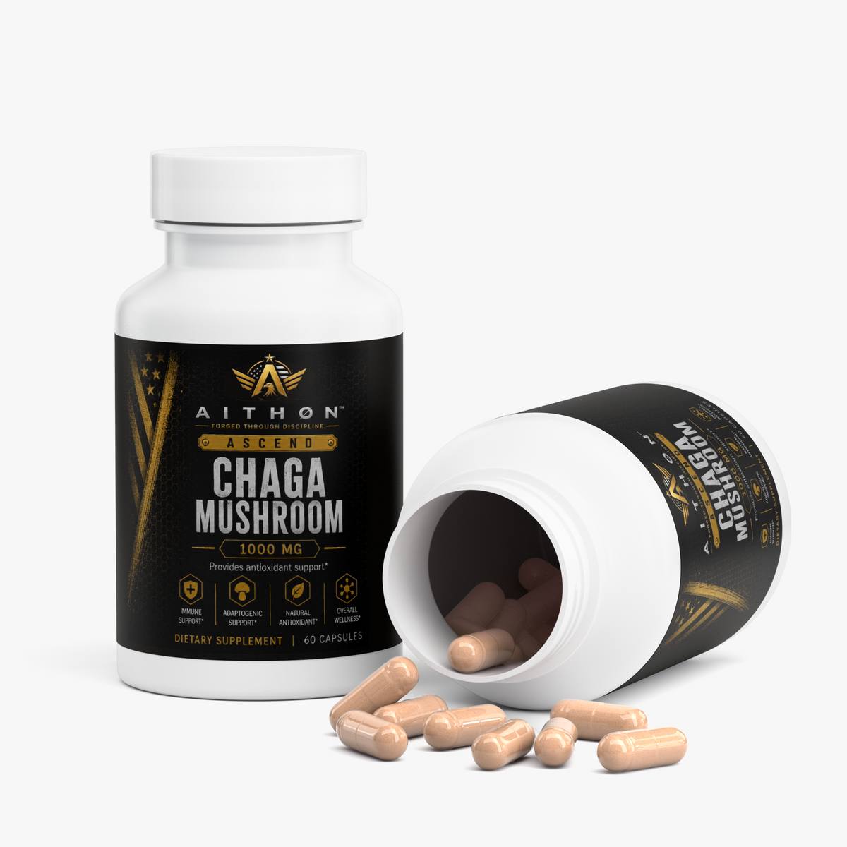 Chaga Mushroom